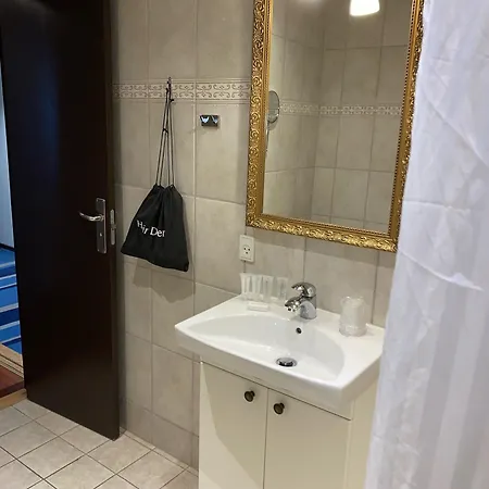 赫尔南凤凰酒店 酒店 奥尔堡