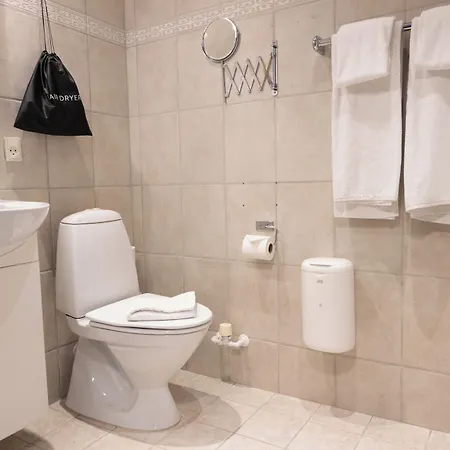 Phonix Hotell 4*